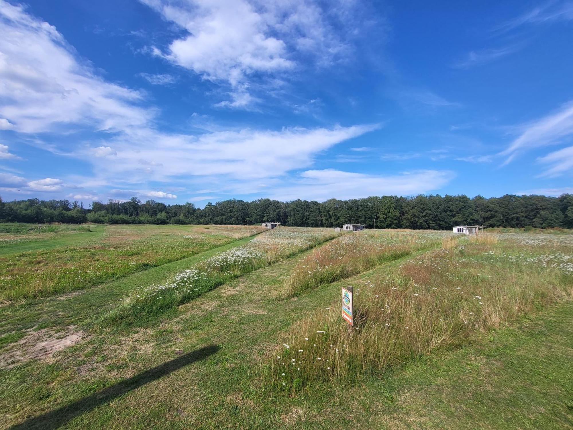 Hoeve Twente - De Bonte Specht Villa Heythuysen Luaran gambar